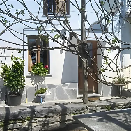 Apartment Il Pergolato Cannero Riviera